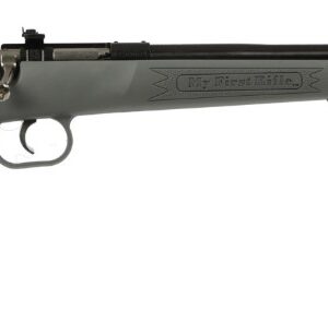 Crickett .22 LR Black/Gray